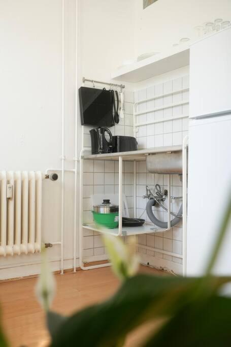 Stadtoase Wohnung Nahe Hauptbahnhof Coblenza Exterior foto