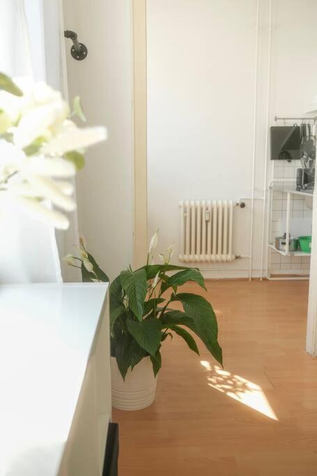 Stadtoase Wohnung Nahe Hauptbahnhof Coblenza Exterior foto
